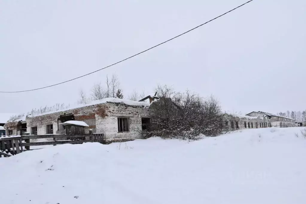 Помещение свободного назначения в Башкортостан, Кигинский район, с. ... - Фото 1
