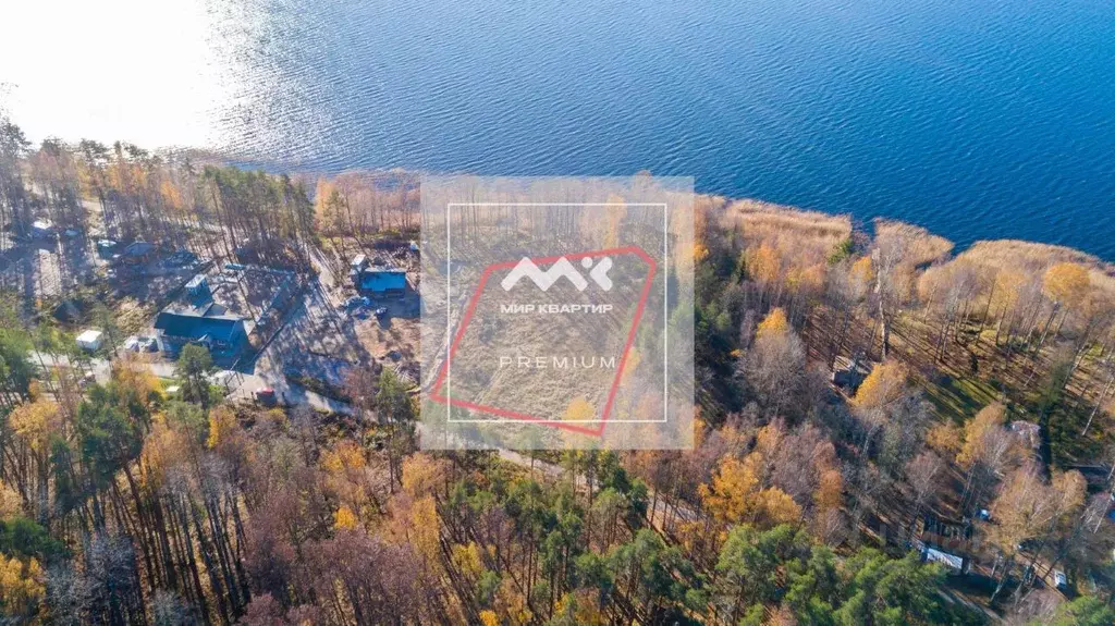 Участок в Ленинградская область, Выборгский район, Рощинское городское ... - Фото 1