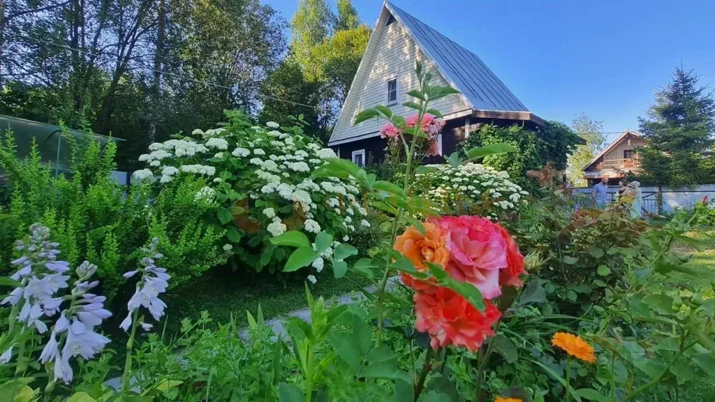 Дом в Ленинградская область, Выборгский район, Рощинское городское ... - Фото 2