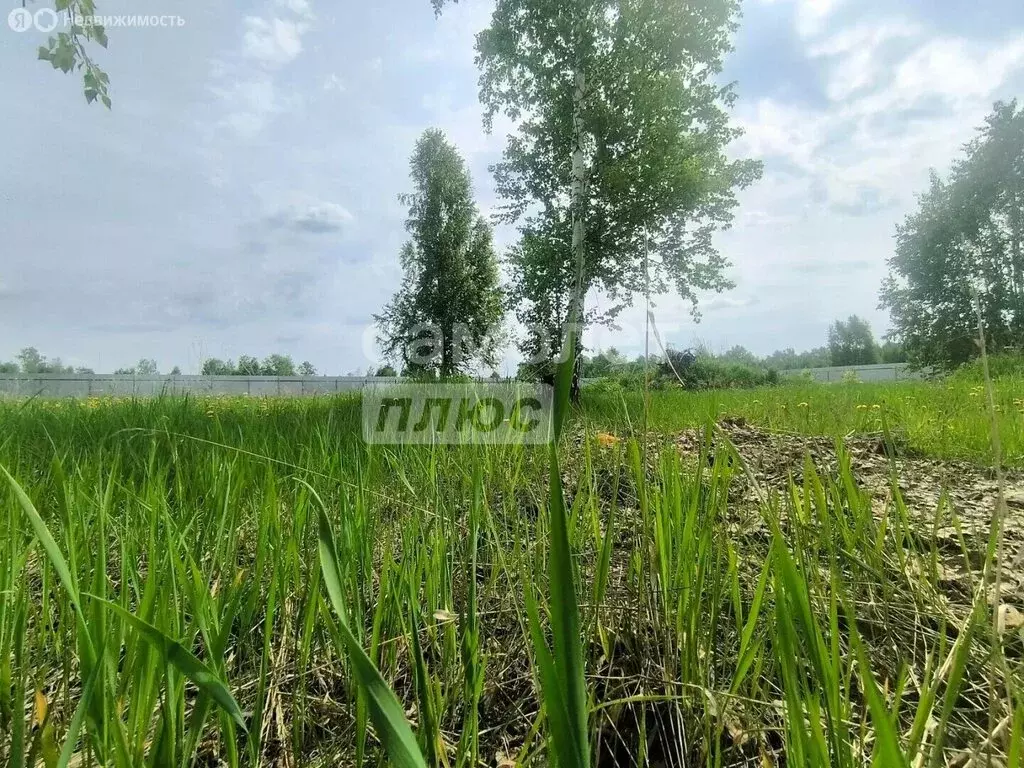 Участок в село Кременкуль, КП Зелёный мыс, Тихая улица (9 м) - Фото 2