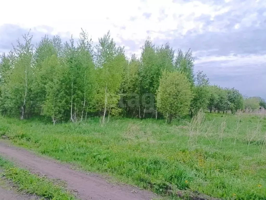 Участок в Томская область, Томский район, д. Губино  (15.0 сот.) - Фото 2