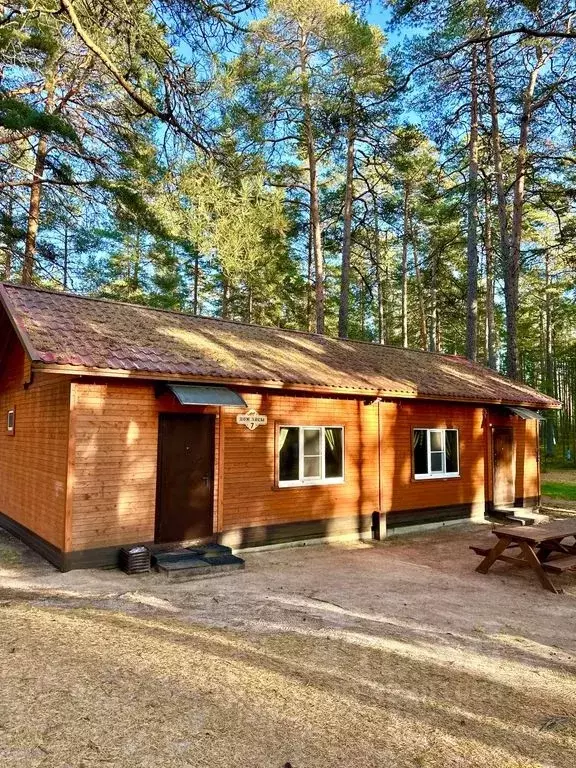 Дом в Ленинградская область, Сосновый Бор  (60 м) - Фото 1