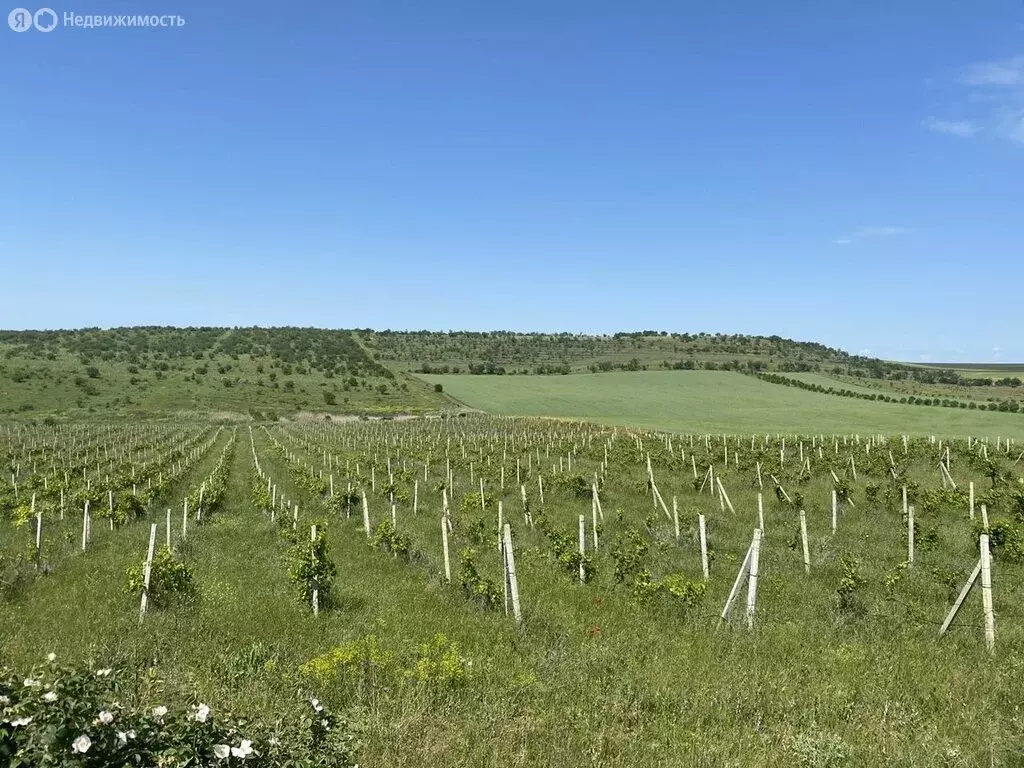 Участок в село Вилино, Севастопольский переулок (448 м) - Фото 1