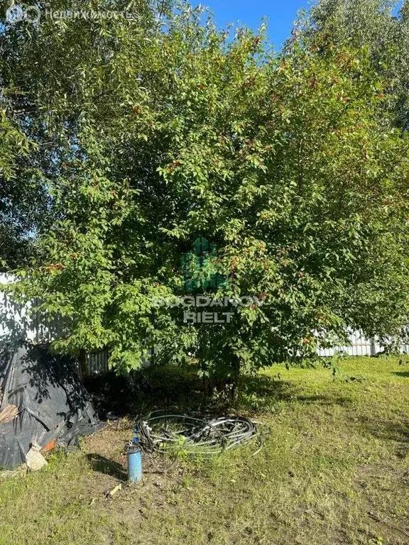 Дом в муниципальный округ Омский район, СНТ Радуга, 1-я аллея (47.5 м) - Фото 2