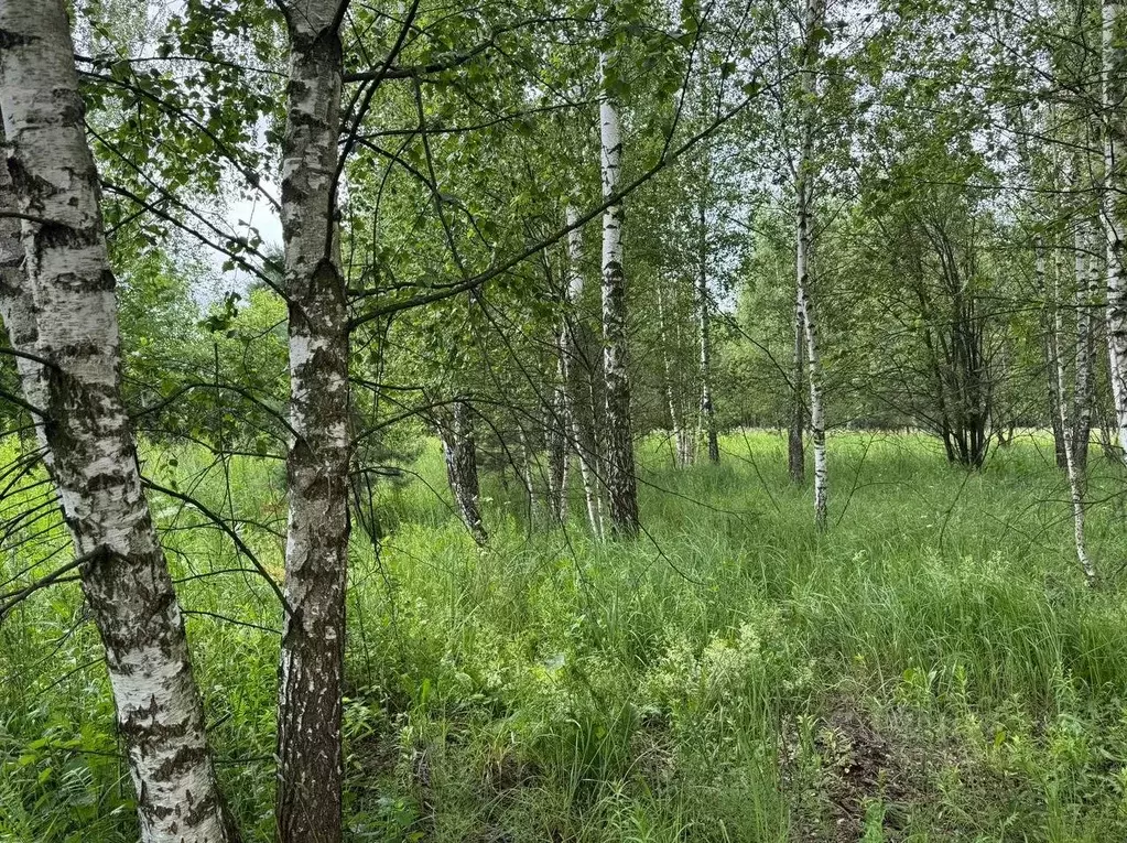 Участок в Московская область, Богородский городской округ, д. Исаково  ... - Фото 0