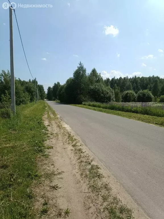 Участок в Нижегородская область, муниципальный округ Бор, деревня ... - Фото 2