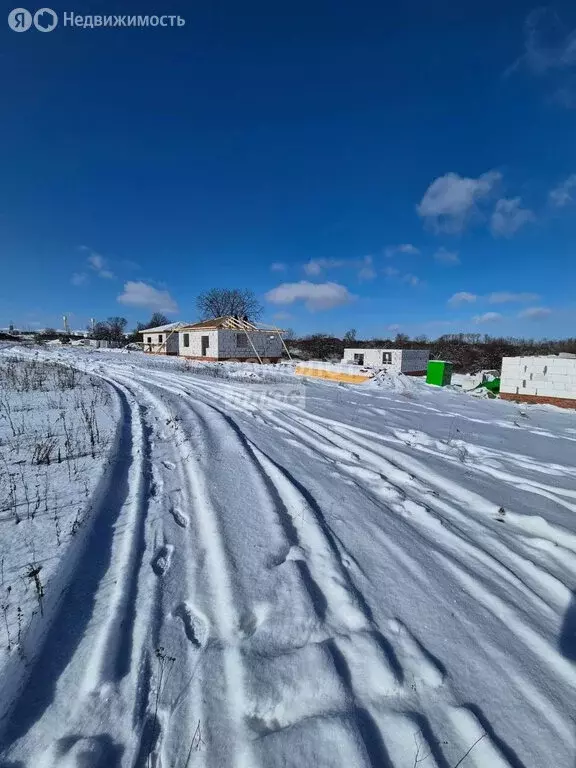 Дом в Курский район, Рышковский сельсовет, хутор Кислино (90 м) - Фото 0