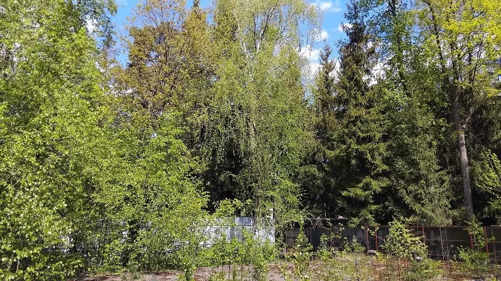 Участок в Московская область, Одинцовский городской округ, пос. ... - Фото 1