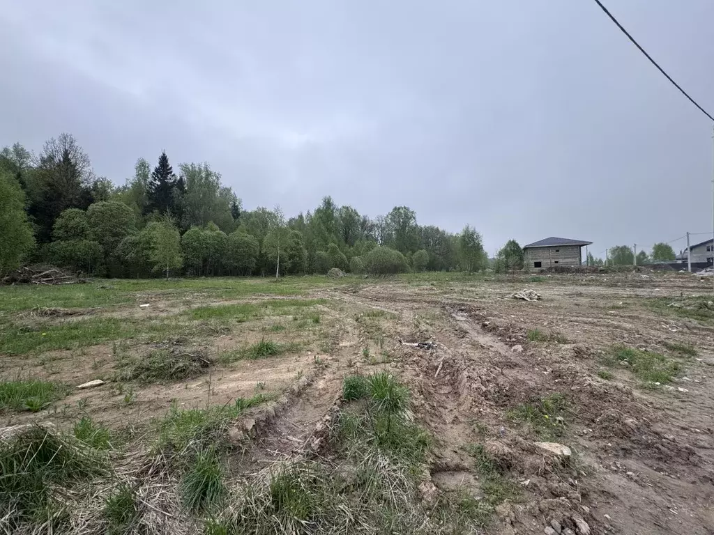 Участок в Москва Вороновское поселение, № 415 кв-л,  (11.31 сот.) - Фото 2