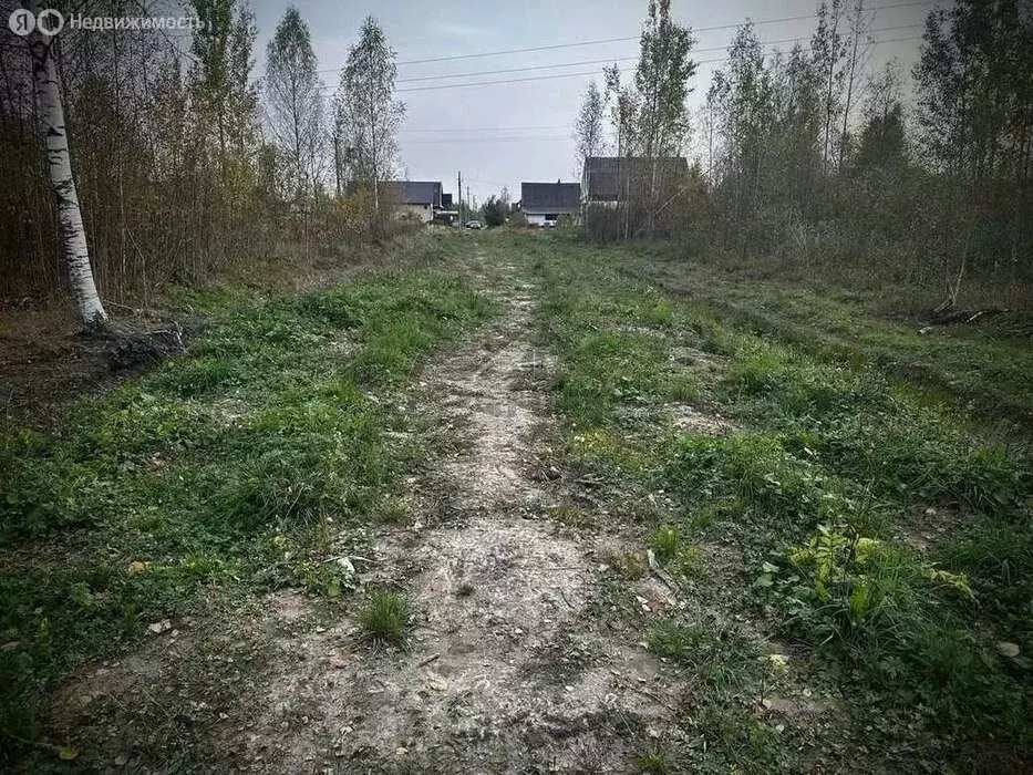 Участок в Малая Вишера, 3-я Парковая улица, 15 (12 м) - Фото 1