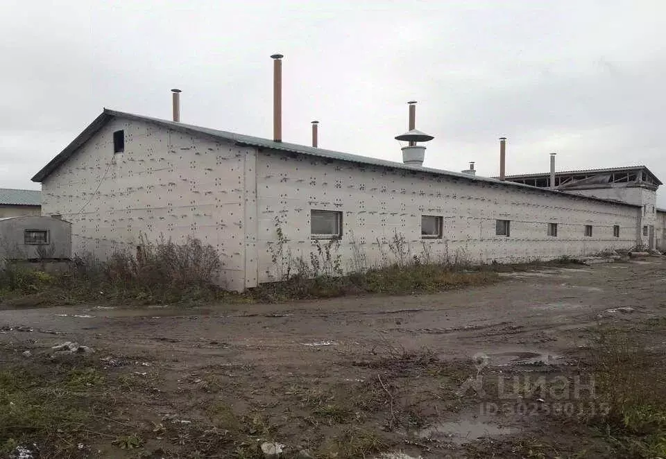 Производственное помещение в Алтайский край, Тальменский район, ... - Фото 1