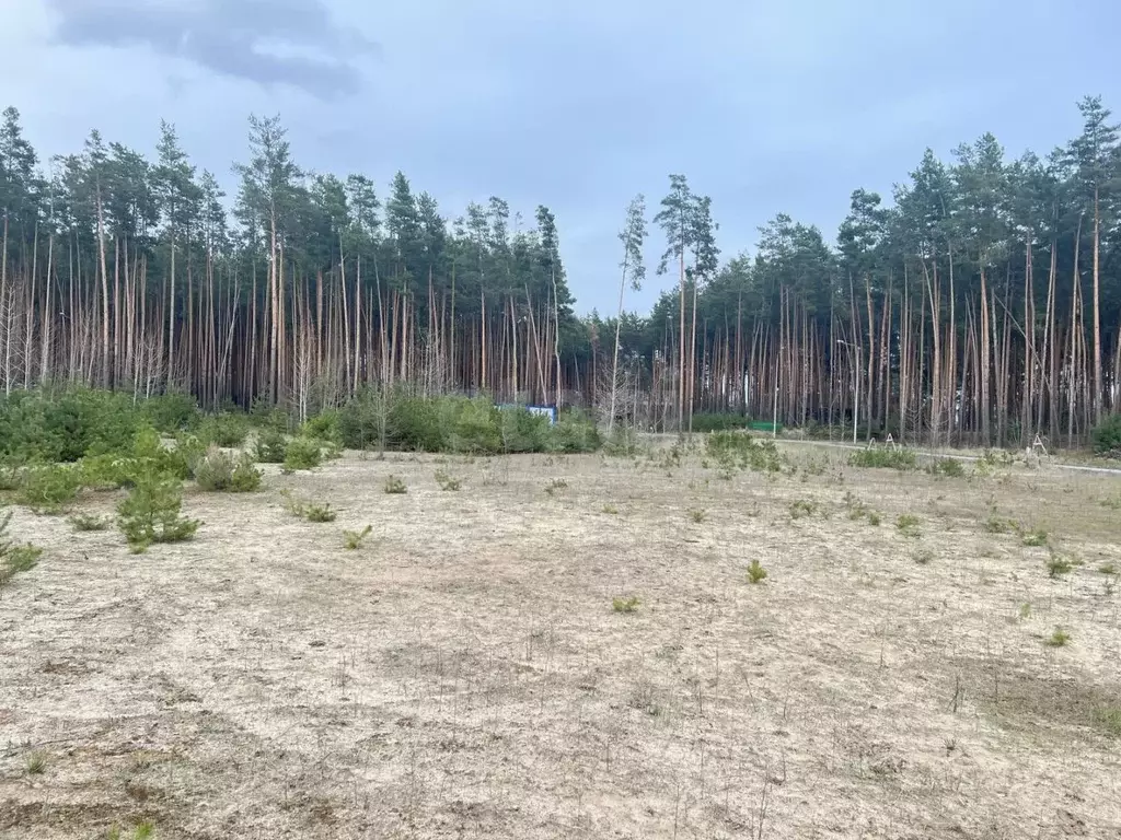 Участок в Белгородская область, Белгородский муниципальный округ, с. ... - Фото 2