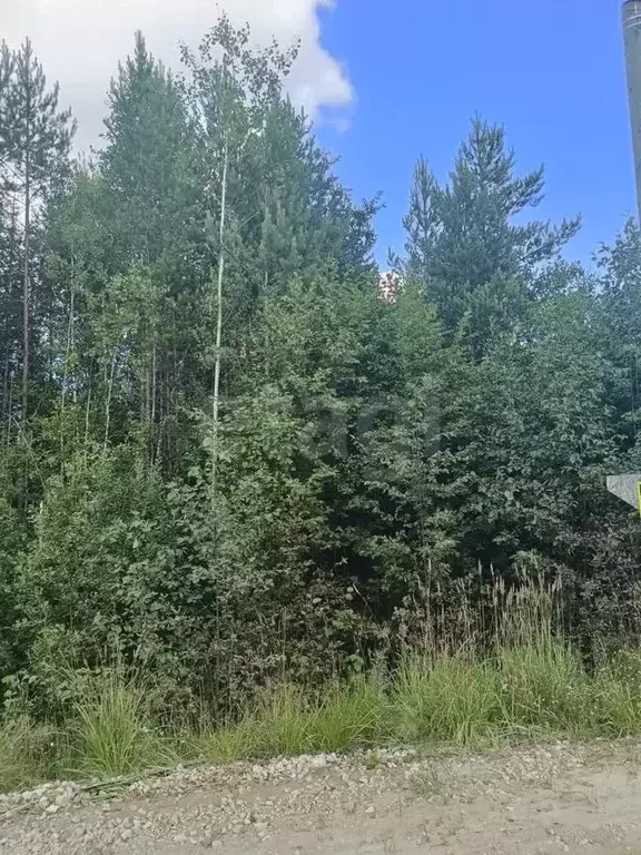 Участок в Коми, Сыктывкар городской округ, Верхняя Максаковка пгт, ... - Фото 1