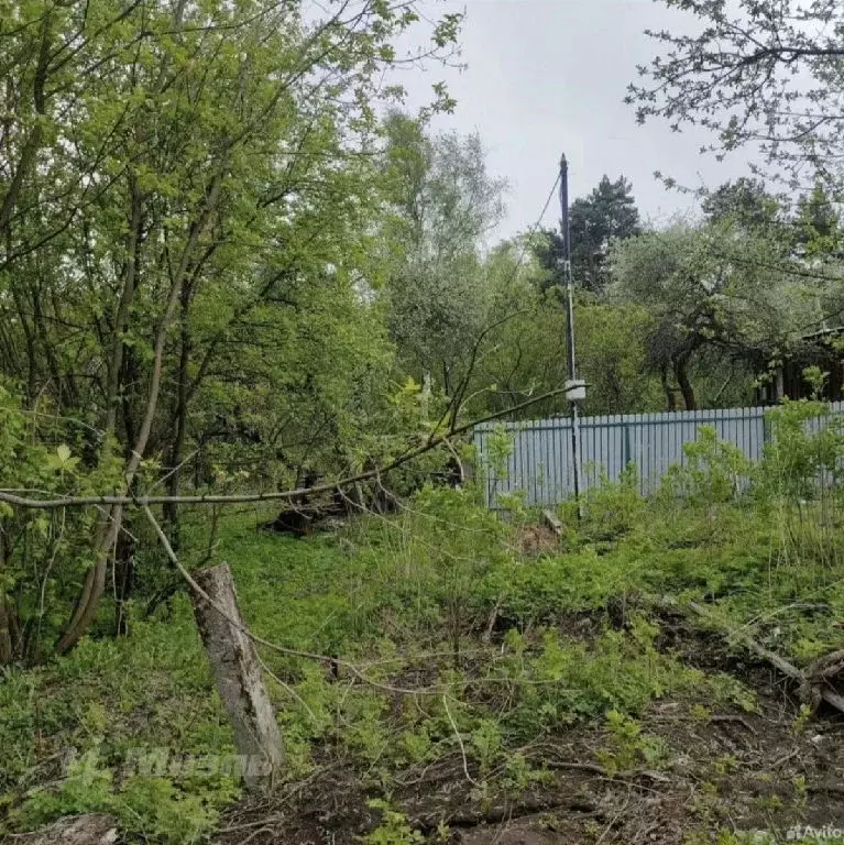 Продается участок в пгт Томилино - Фото 1