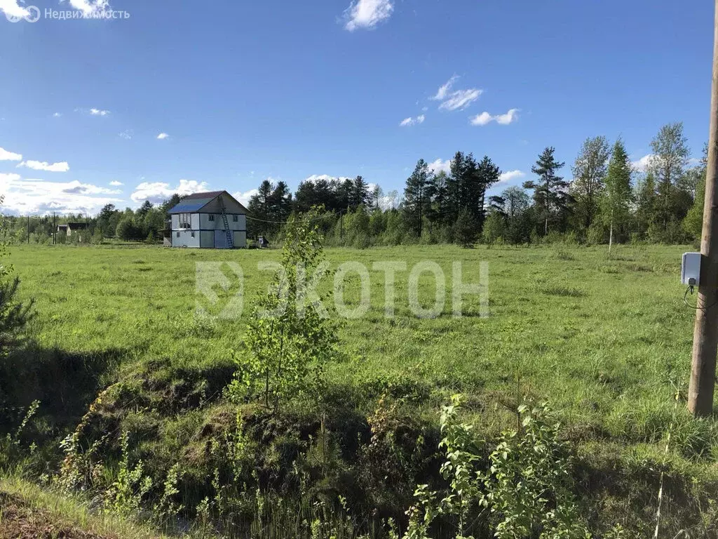 Участок в Мшинское сельское поселение, садоводческий массив Дивенская, ... - Фото 2