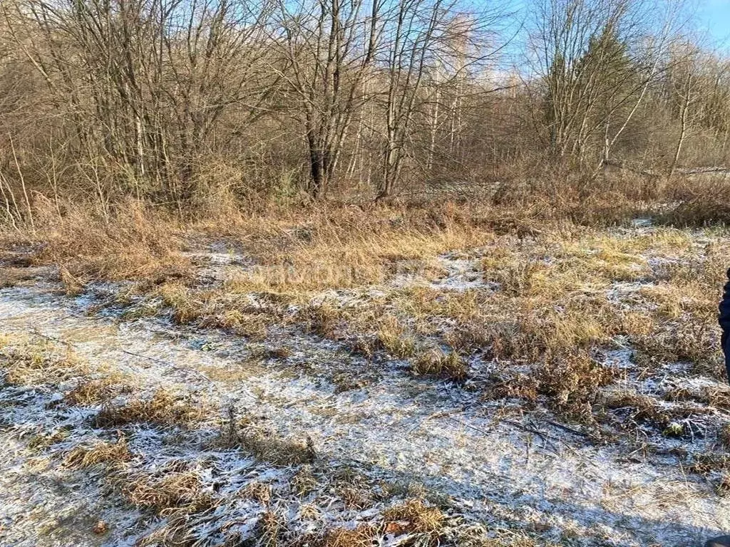 Участок в Калужская область, Калуга городской округ, с. Горенское  ... - Фото 0