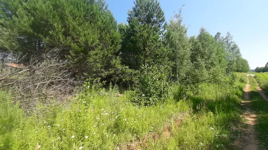 Участок в Удмуртия, Завьяловский район, Соловушки ДНТ  (36.0 сот.) - Фото 2