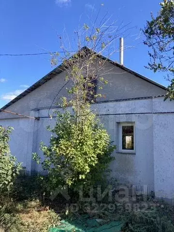 Дом в Самарская область, Кинель городской округ, Алексеевка пгт ул. ... - Фото 1
