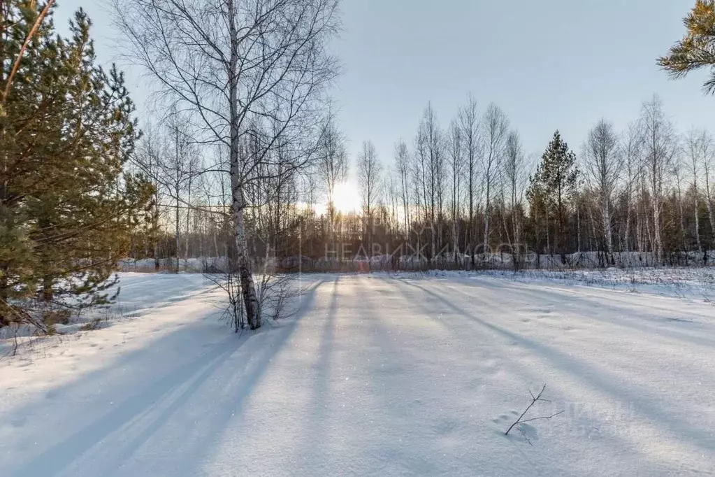 Участок в Тюменская область, Тюменский район, Янтарное ДНТ  (7.4 сот.) - Фото 1