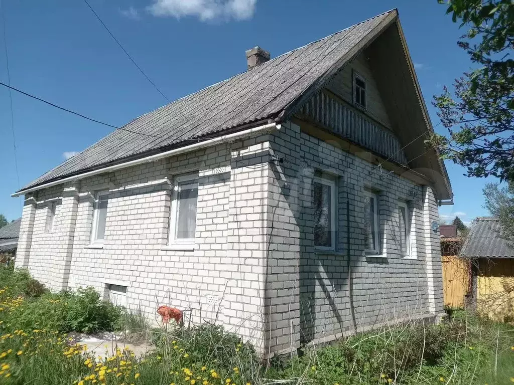 Дом 38,4 м на участке 62 сот. - Фото 1