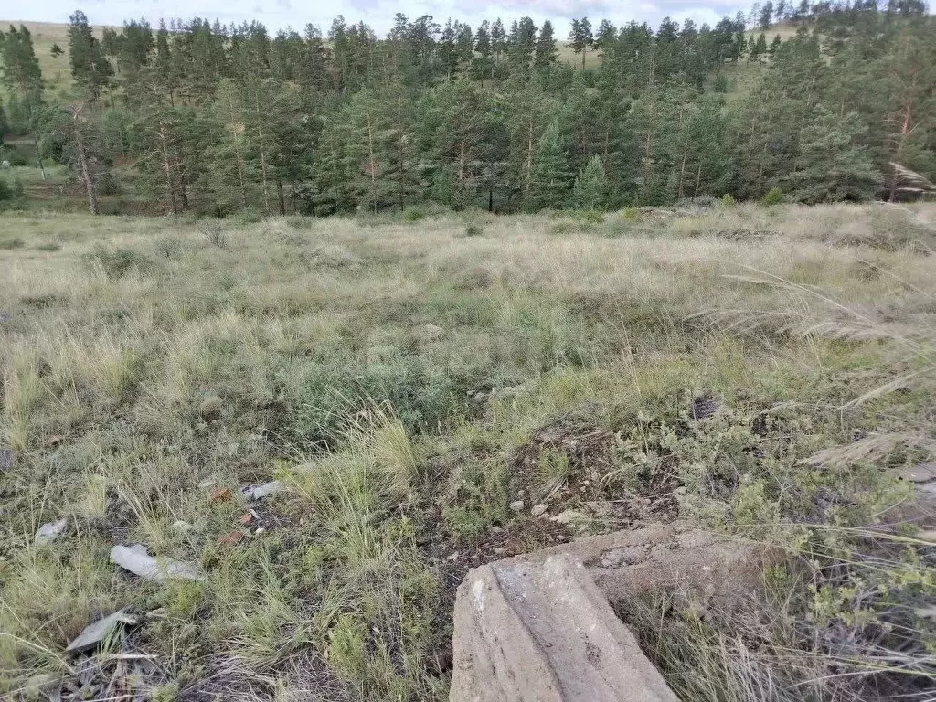 Участок в Бурятия, Иволгинский район, Гурульбинское с/пос, Тулунжа СНТ ... - Фото 2