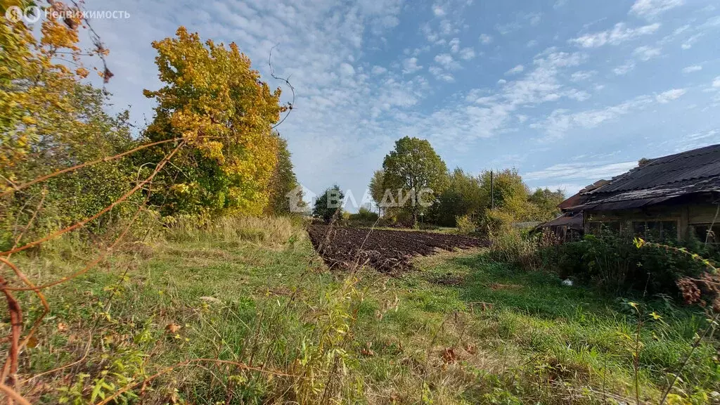 Участок в село Чеково, 8-я улица, 15 (30 м) - Фото 0