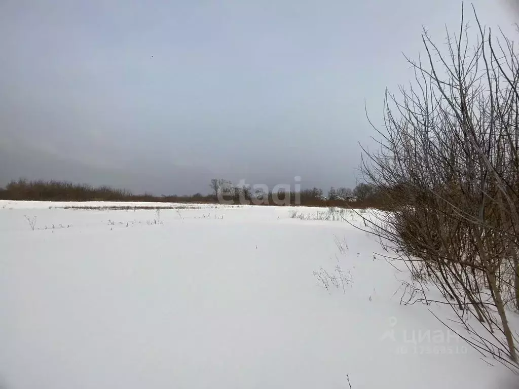 Участок в Пензенская область, Пензенский район, Засечный сельсовет, с. ... - Фото 0