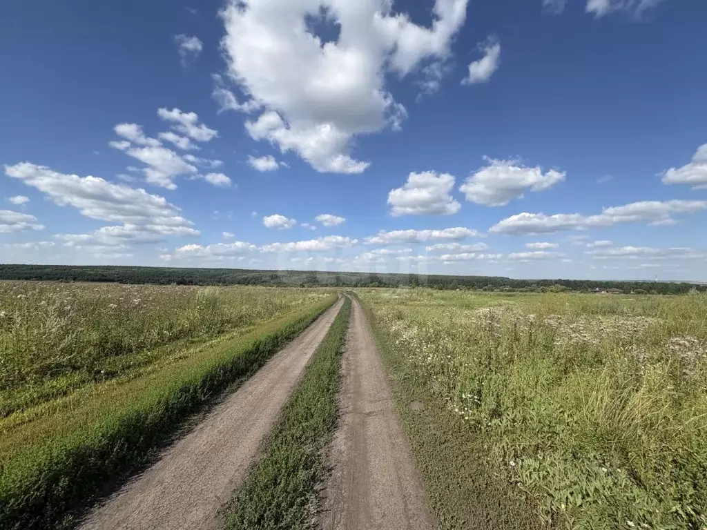 Участок в Мордовия, Саранск городской округ, пос. Добровольный  (15.0 ... - Фото 1