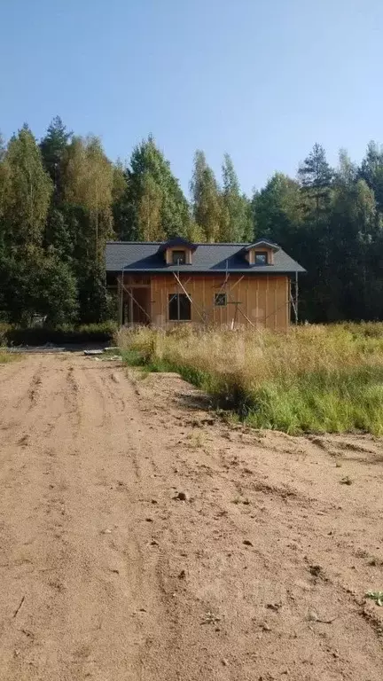 Участок в Ленинградская область, Приозерский район, Красноозерное ... - Фото 1