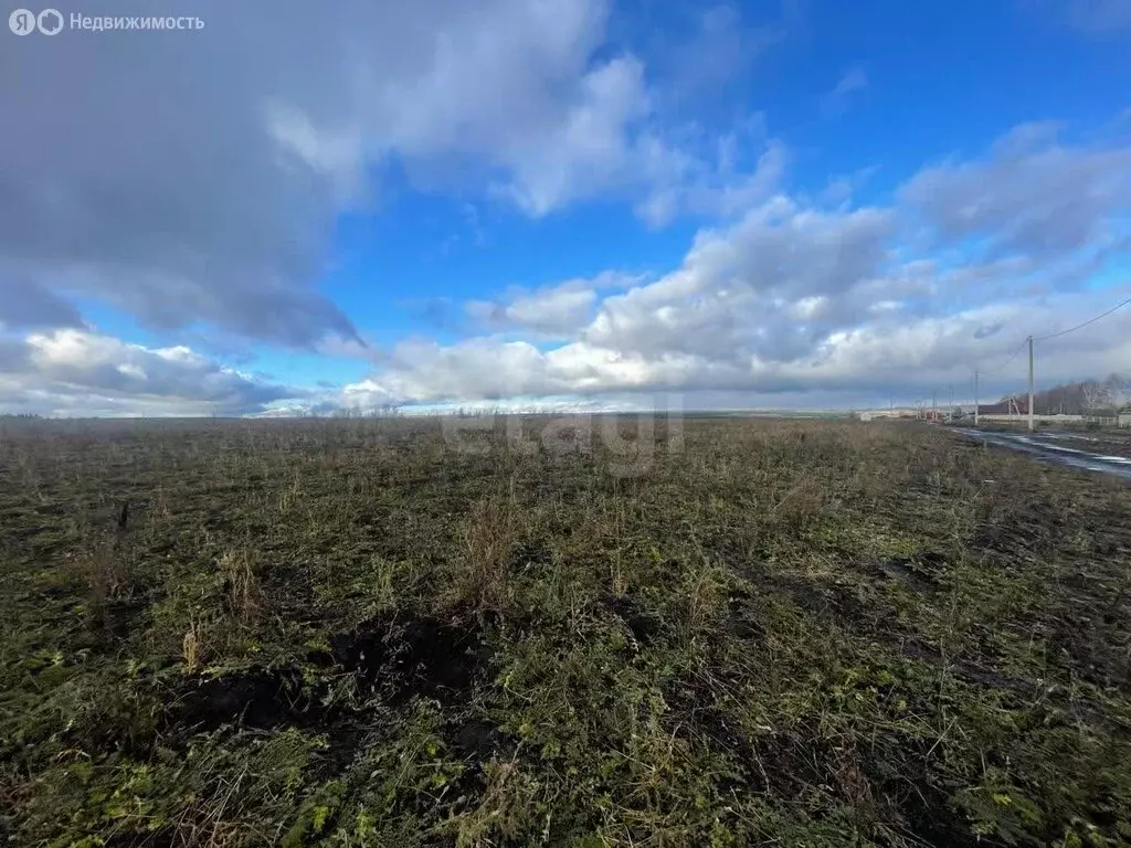 Участок в Лямбирский район, Берсеневское сельское поселение, село ... - Фото 1