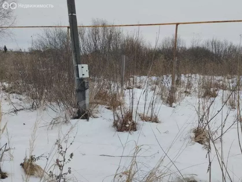 Участок в Ялуторовский район, село Киева (10 м) - Фото 1