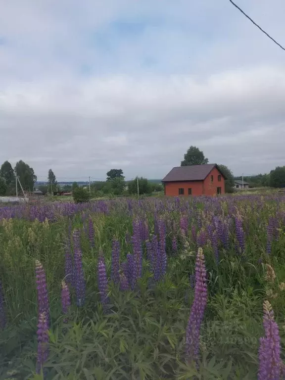 Участок в Удмуртия, Завьяловский район, д. Русский Вожой ул. Брюсова ... - Фото 0