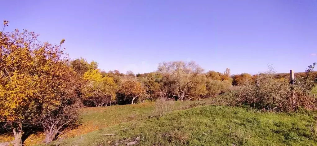 Участок в Крым, Кировский район, Первомайское с/пос, с. Изюмовка ул. ... - Фото 1