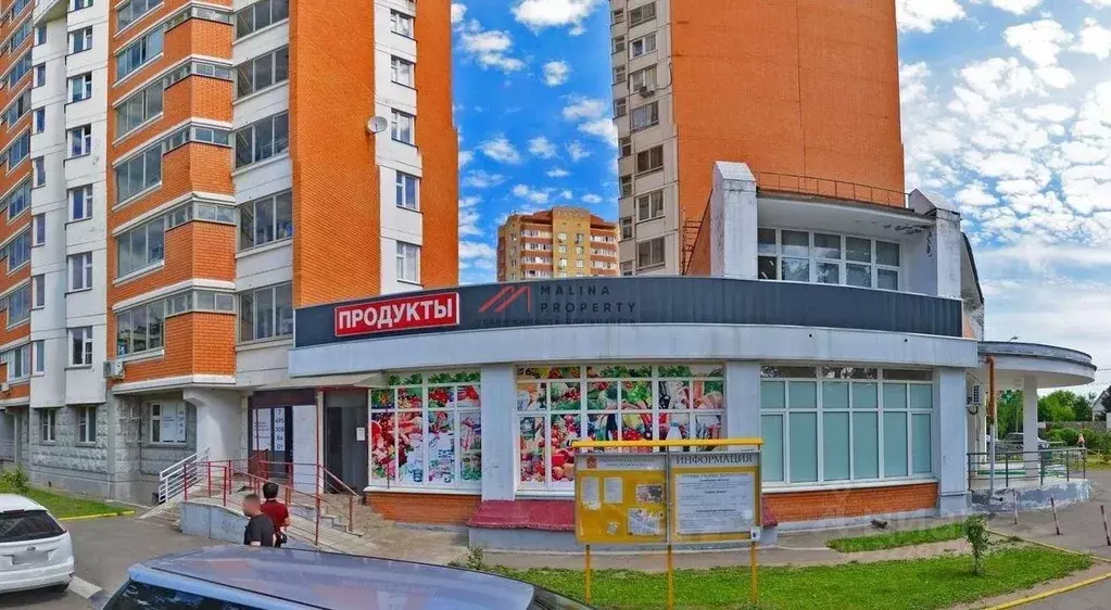 Торговая площадь в Московская область, Щелково городской округ, д. ... - Фото 2