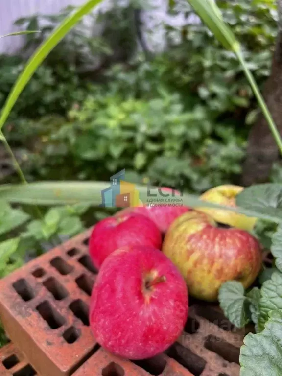 Дом в Тульская область, Тула Залог Здоровья СНТ, 195 (25 м) - Фото 2