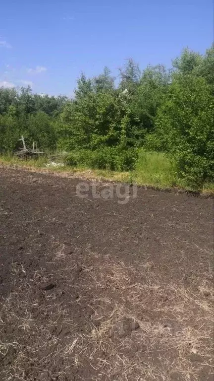 Участок в Воронежская область, Воронеж ул. Майская (5.1 сот.) - Фото 0