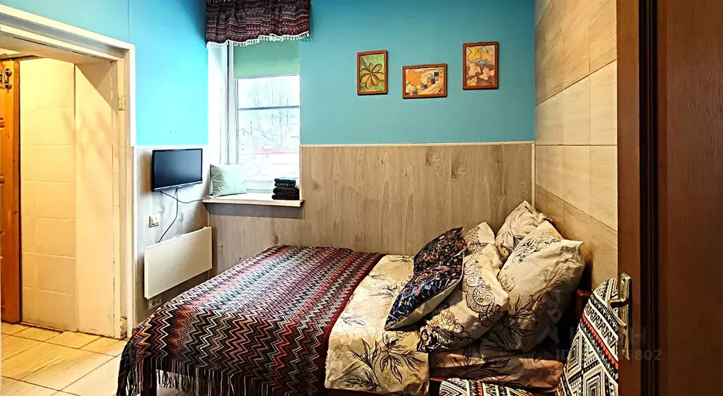 1-к кв. Псковская область, Себеж ул. В. Марго, 32 (15.0 м) - Фото 1
