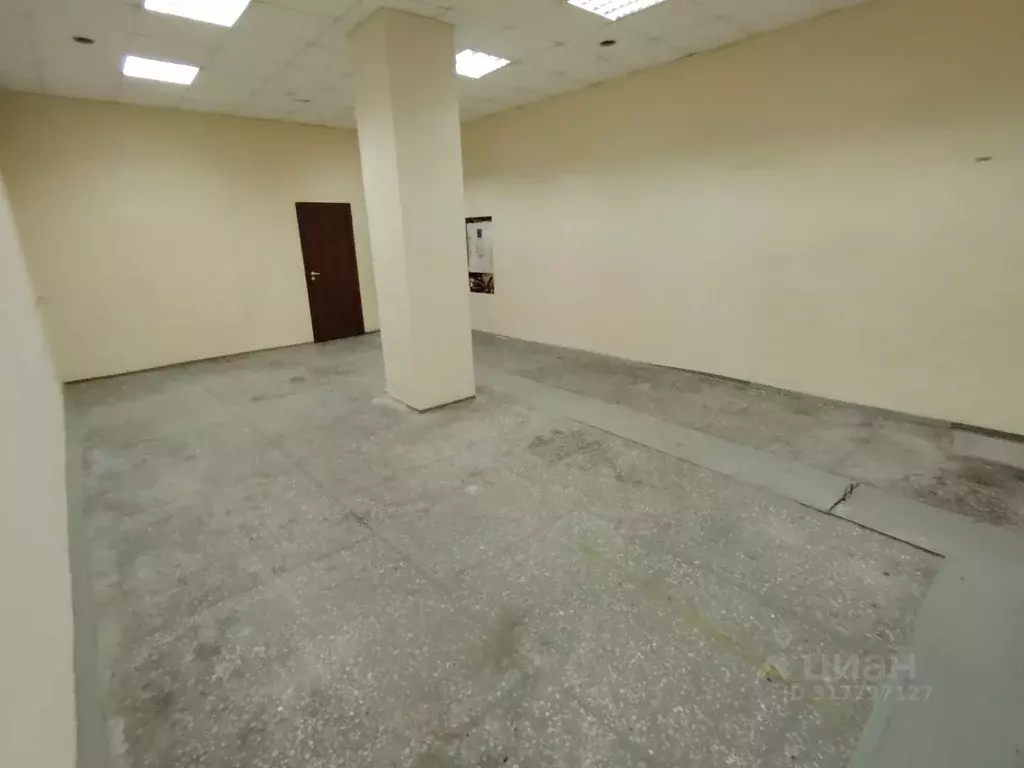Помещение свободного назначения в Новосибирская область, Новосибирск ... - Фото 1