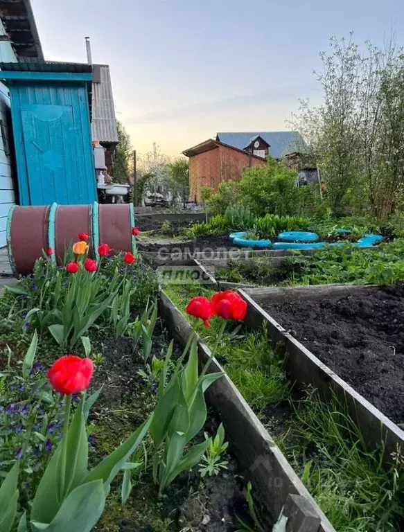 Дом в Алтай, Горно-Алтайск ул. Шевченко, 33 (62 м) - Фото 1