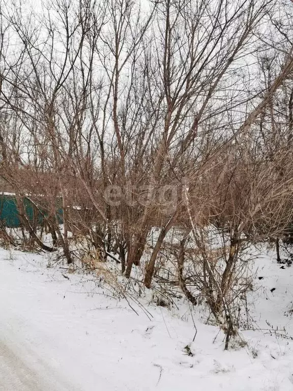 Участок в село Точильное, Шоссейная улица (10.9 м) - Фото 1