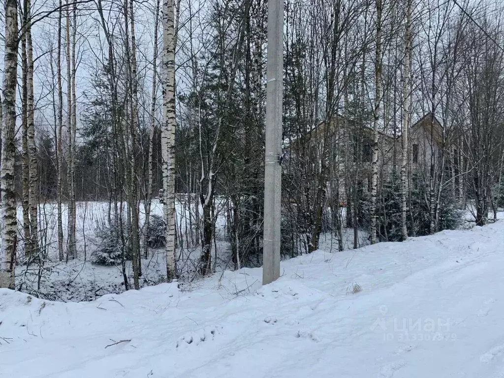 Участок в Ленинградская область, Всеволожский район, Агалатовское ... - Фото 0