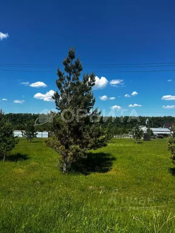 Участок в Свердловская область, Тугулым пгт пл. 50-летия Октября (6.0 ... - Фото 1