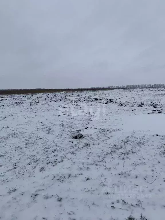 Участок в Белгородская область, Белгородский район, Головинское с/пос, ... - Фото 0