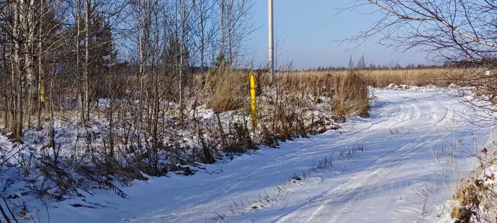 Участок в Владимирская область, Судогодский район, Головинское ... - Фото 1