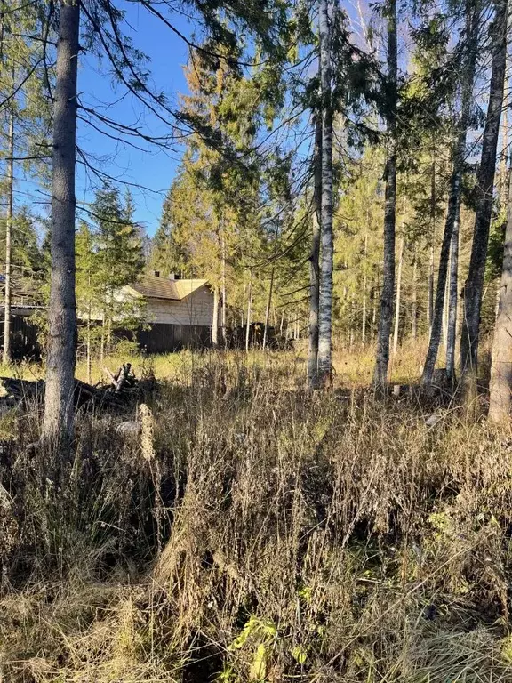 Участок в Московская область, Сергиево-Посадский городской округ, д. ... - Фото 0