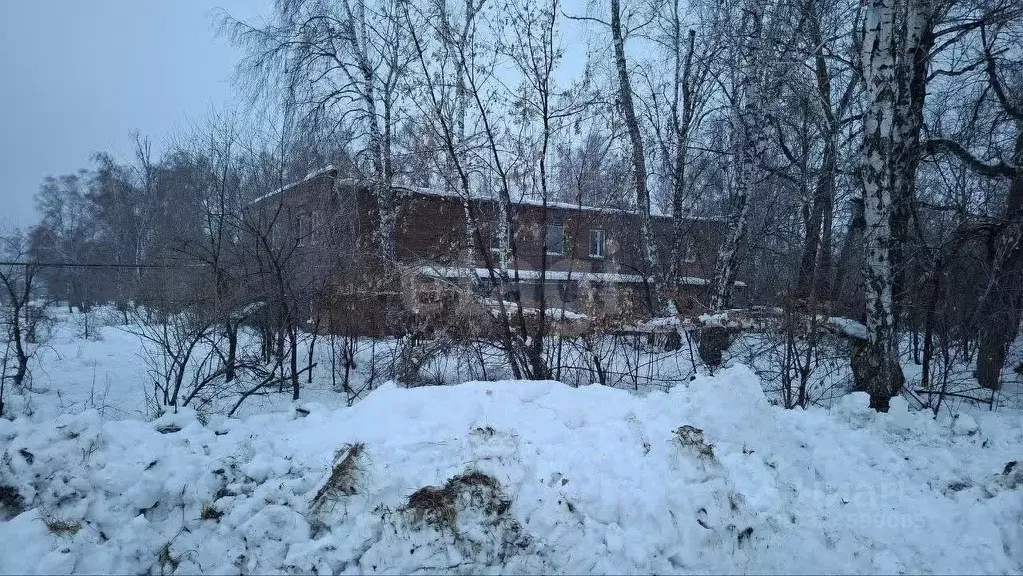 Помещение свободного назначения в Новосибирская область, Ордынский ... - Фото 1