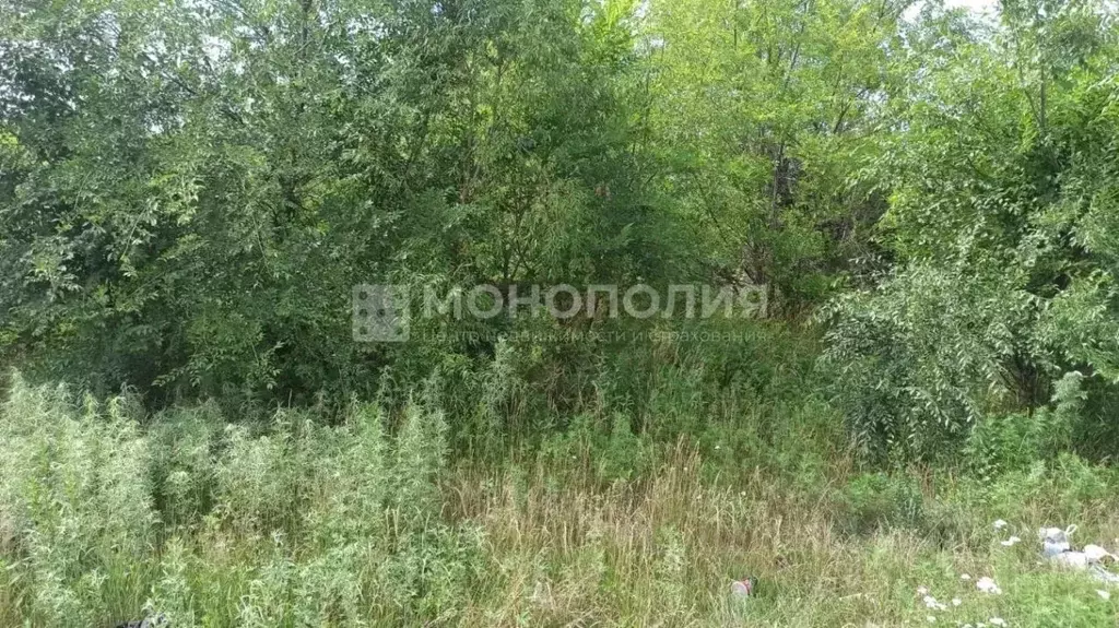 Участок в Амурская область, Белогорск ул. Ушакова, 6 (8.7 сот.) - Фото 2
