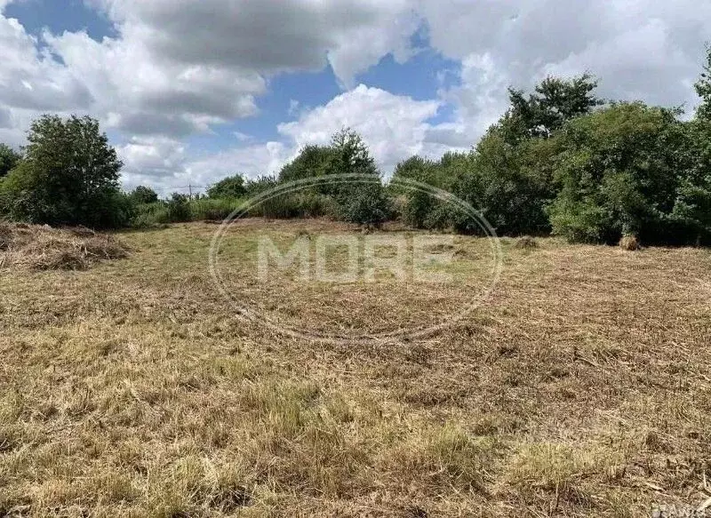 Участок в Калининградская область, Зеленоградский муниципальный округ, ... - Фото 2