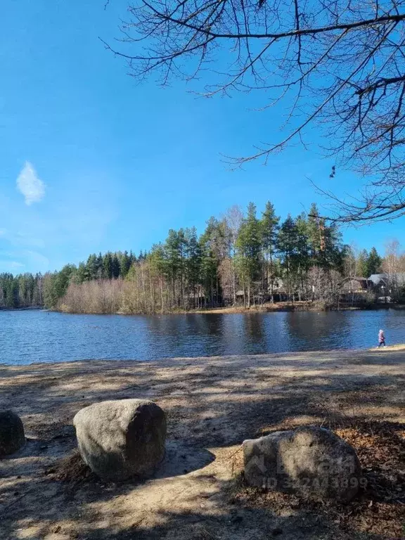 Участок в Ленинградская область, Выборгский район, Рощино пгт пер. ... - Фото 2