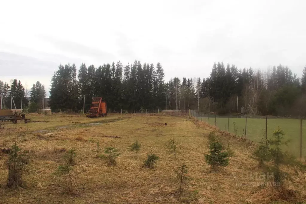 Участок в Московская область, Шаховская муниципальный округ, д. Холмец ... - Фото 1